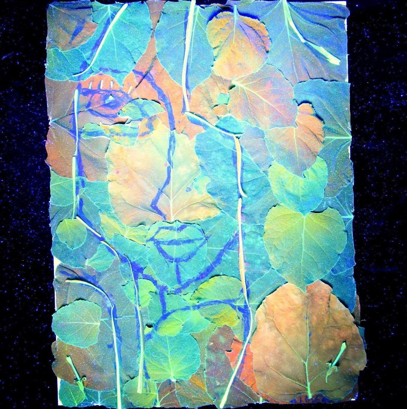 The leaf collage glowing blue, green and orange under ultraviolet light, with faces and eyes emerging