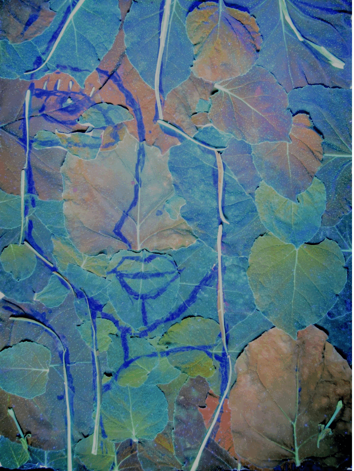 Animated transition revealing faces and eyes within a collage of fluorescent leaves